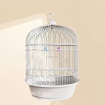 マルワ 35角型 鳥かご 3点まとめ売り インコ 文鳥 フィンチ 楽天市場】鳥かご HOEI 35角G ブルー （37×41．5